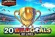 20 Wild Goals