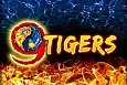9 Tigers™