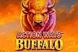 Action Ways Buffalo