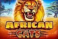 African Cats