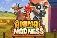 Animal Madness