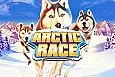 Arctic Race