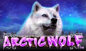 Arctic Wolf