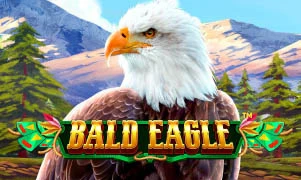 Bald Eagle™