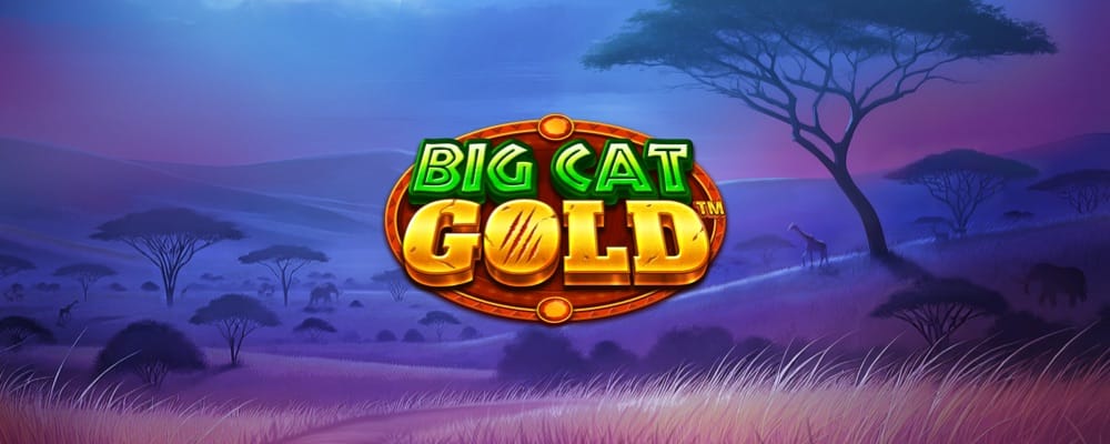 Big Cat Gold