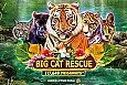 Big Cat Rescue Megaways