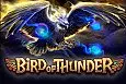 Bird of Thunder