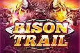 Bison Trail
