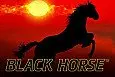 Black Horse™