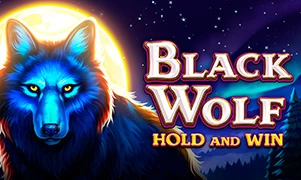 Black Wolf: Hold and Win