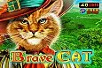 Brave Cat