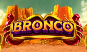 Bronco
