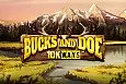 Bucks and Doe 10K Ways