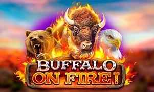 Buffalo on Fire!