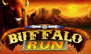 Buffalo Run