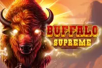 Buffalo Super Stars