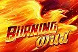 Burning Wild