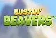 Bustin' Beavers