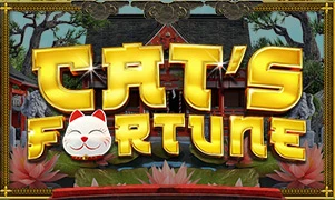 Cat's Fortune