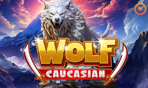 Caucasian Wolf