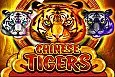 Chinese Tigers