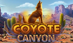 Coyote canyon