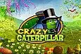 Crazy Caterpillar