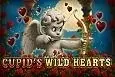 Cupids Wild Hearts