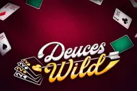 Deuces Wild - Power Poker