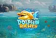 Dolphin Riches Hold and Win