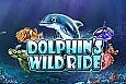 Dolphin's Wild Ride
