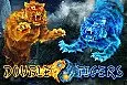 Double Tigers