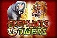 Elephants vs Tigers