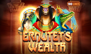 Ernutet's Wealth