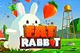 Fat Rabbit