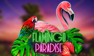 Flamingo Paradise