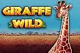 Giraffe Wild