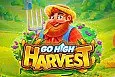 Go High Harvest
