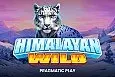 Himalayan Wild