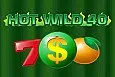 Hot Wild 40
