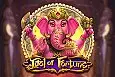 Idol of Fortune