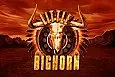 Little Bighorn