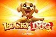 Lucky Dog