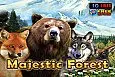 Majestic Forest