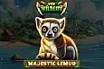Majestic Lemur