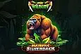 Majestic Silverback
