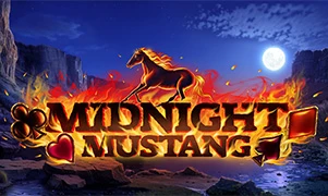 Midnight Mustang