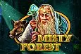Misty Forest