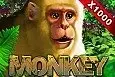 Monkey: Battle of the Scrolls