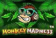 Monkey Madness